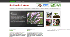 Desktop Screenshot of lilak.pl